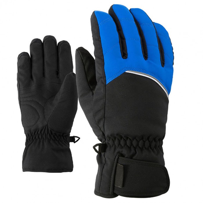 Ski Gloves